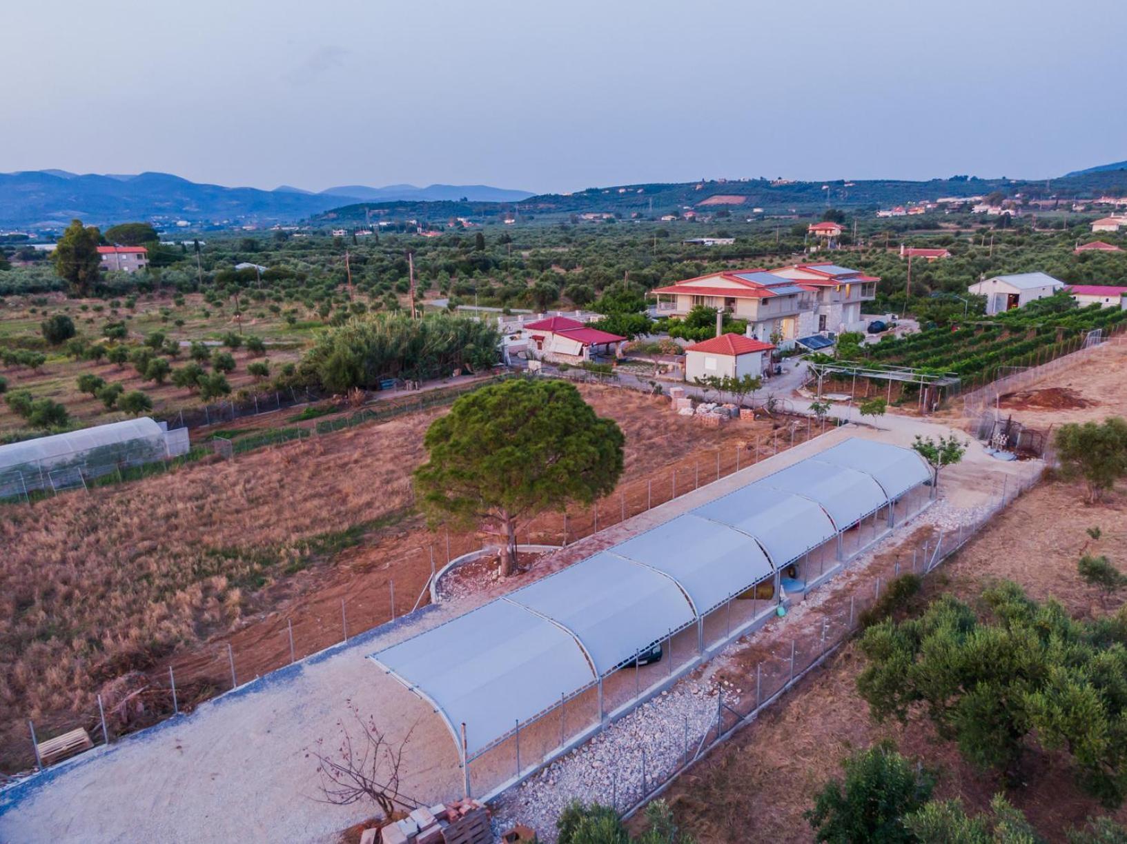 Terra Helios Suites & Studios Kyparissia Exterior photo