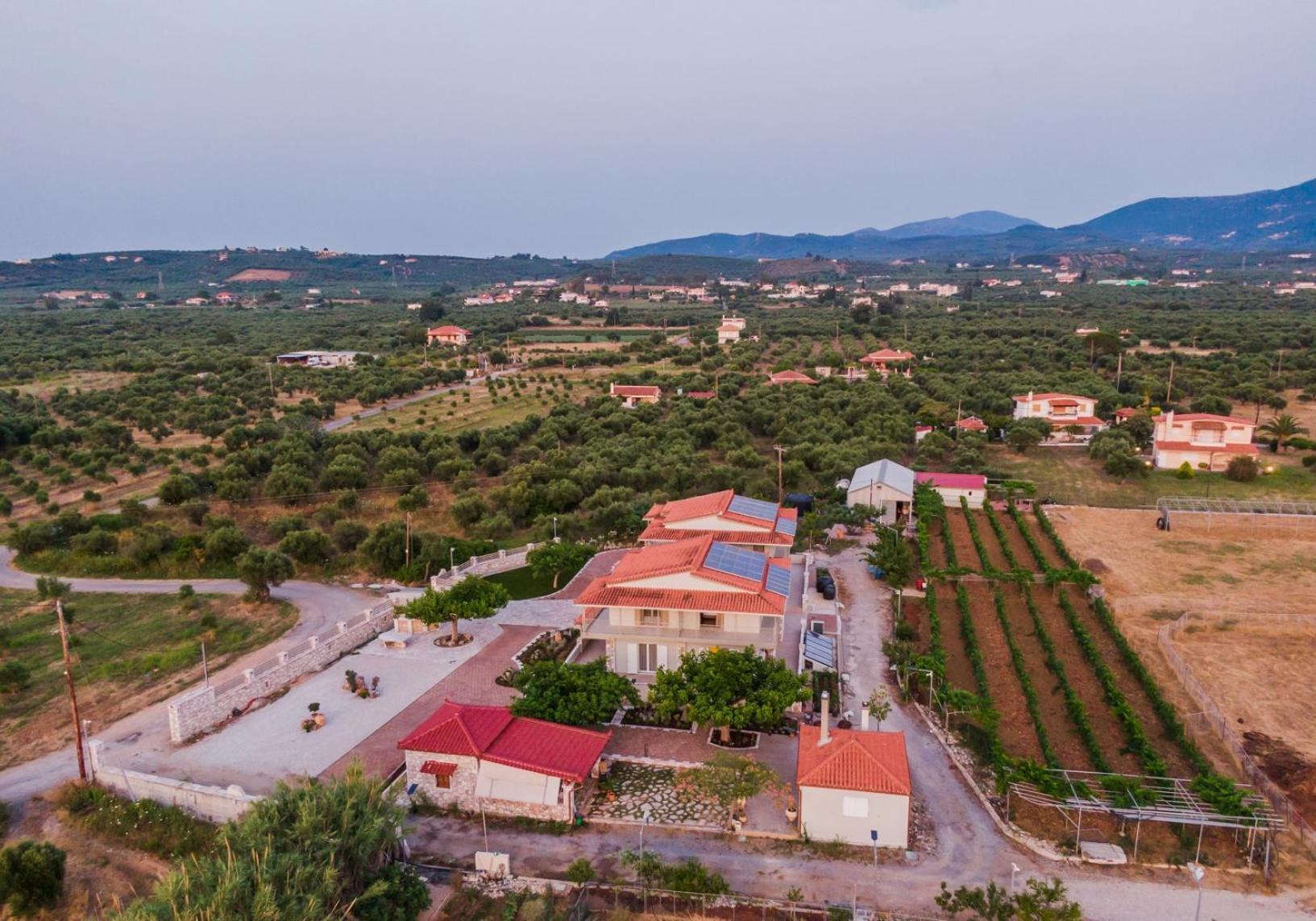 Terra Helios Suites & Studios Kyparissia Exterior photo